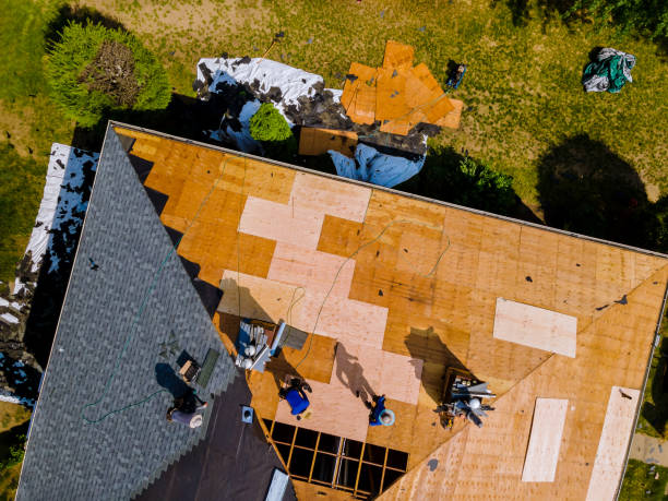 Best Roof Repair Services  in Pomeroy, OH